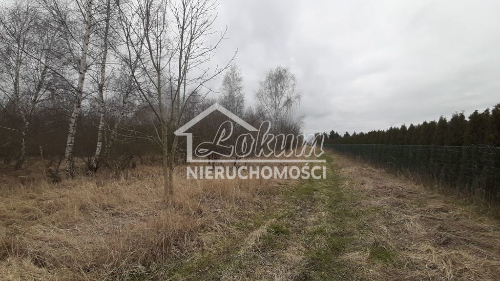 Działka rolna 3000 m², Karwowo - zdjęcie 1