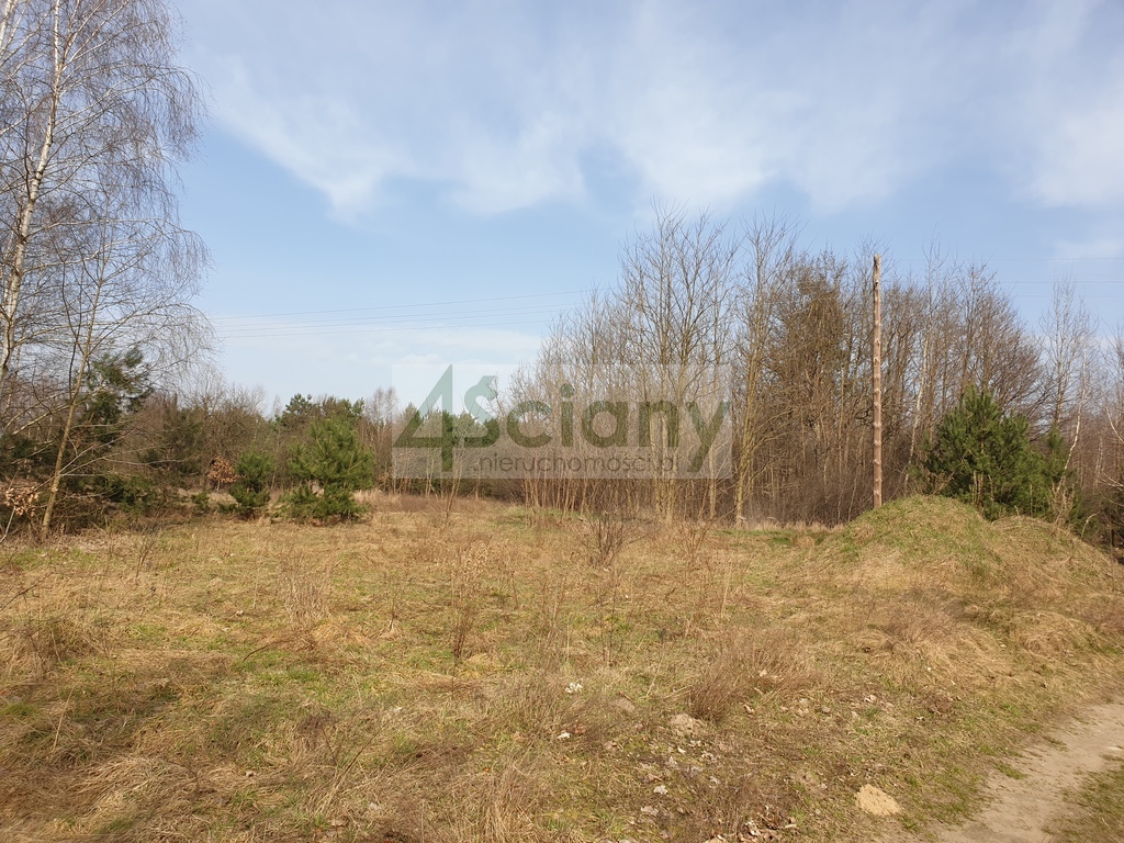 Działka budowlana 3400 m², Zator - zdjęcie 3
