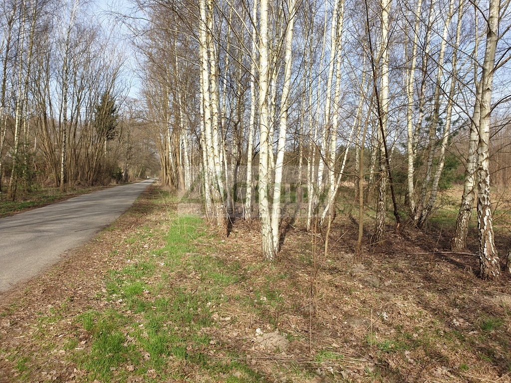 Działka budowlana 3400 m², Zator - zdjęcie 2