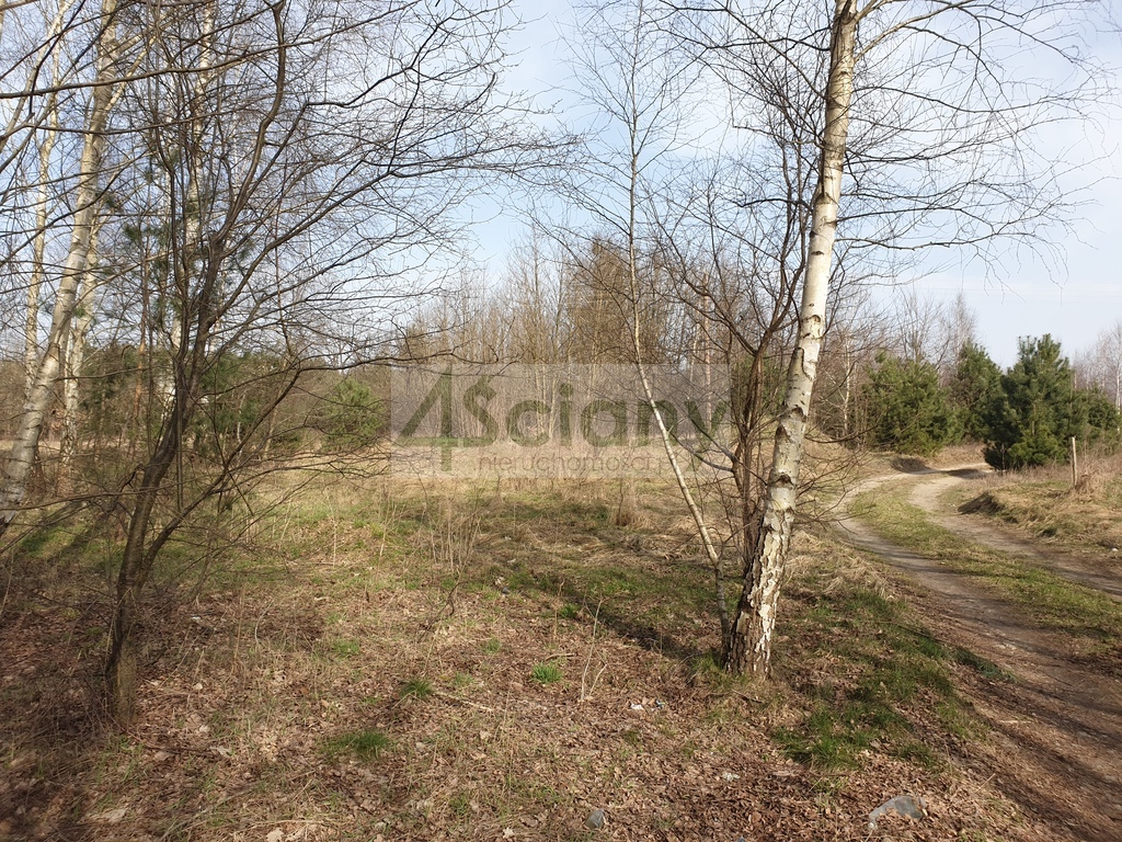 Działka budowlana 3400 m², Zator - zdjęcie 1