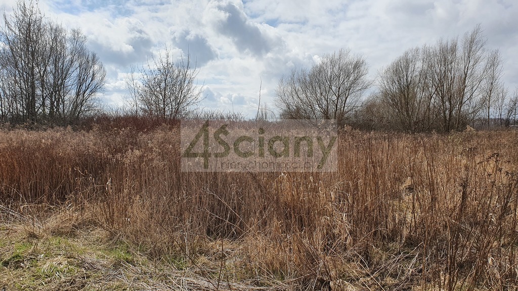 Działka budowlana 2002 m², Opacz Mała - zdjęcie 3