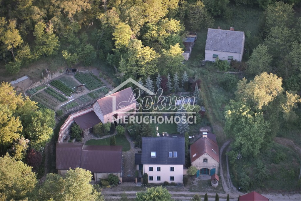 Lokal biurowy na sprzedaż, 545&nbsp;m², Stary Kostrzynek - zdjęcie 12