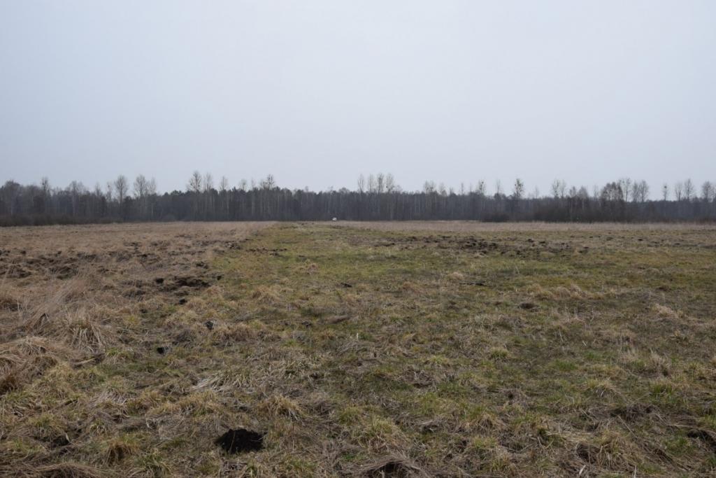 Ziemia rolna w Redkowicach gm.  Nowa Wieś Lęborska - zdjęcie 10