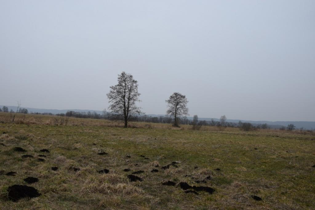 Ziemia rolna w Redkowicach gm.  Nowa Wieś Lęborska - zdjęcie 7