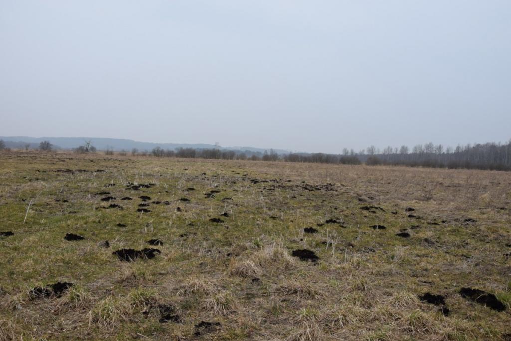 Ziemia rolna w Redkowicach gm.  Nowa Wieś Lęborska - zdjęcie 6