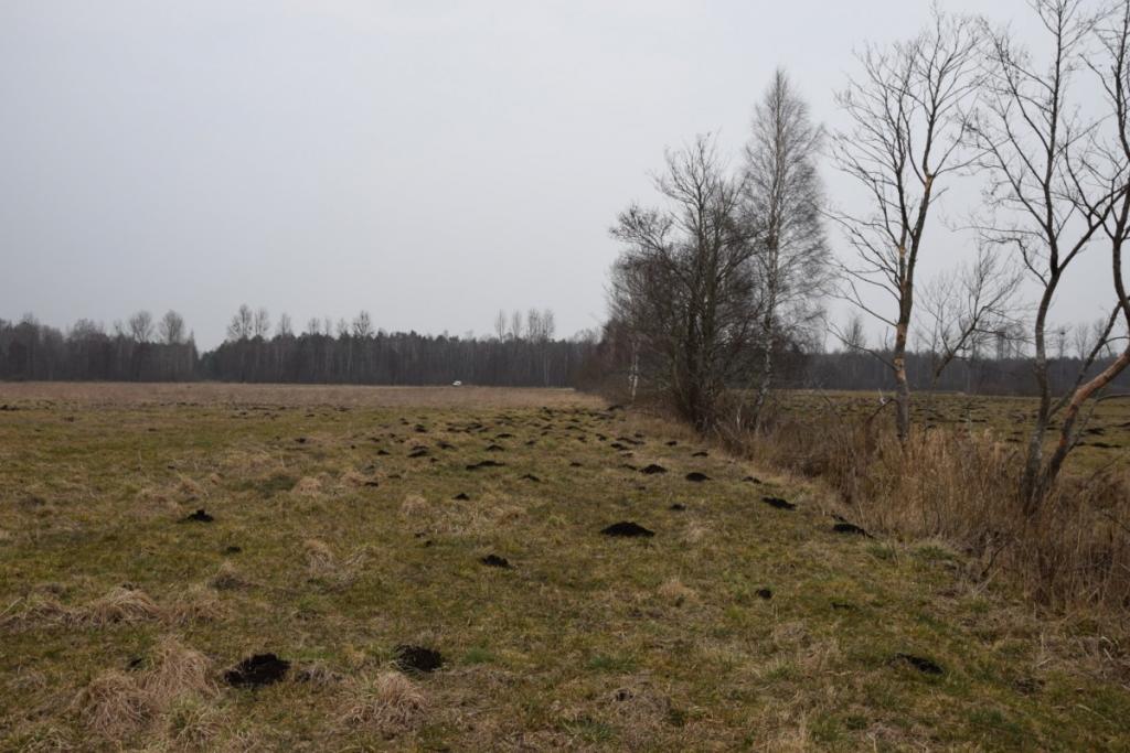 Ziemia rolna w Redkowicach gm.  Nowa Wieś Lęborska - zdjęcie 8