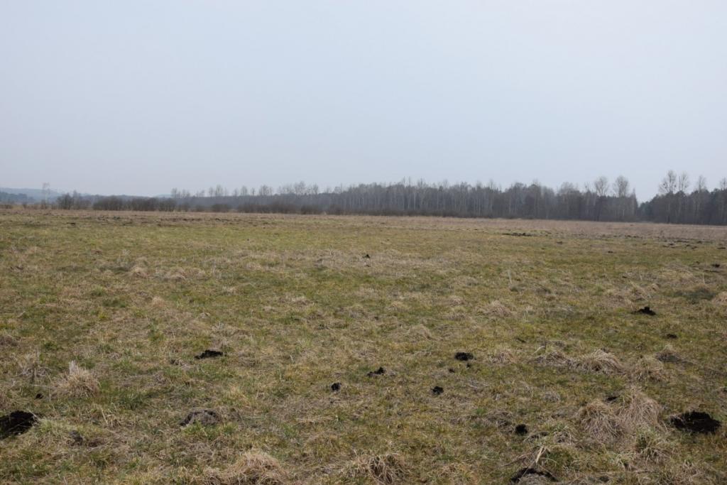 Ziemia rolna w Redkowicach gm.  Nowa Wieś Lęborska - zdjęcie 9