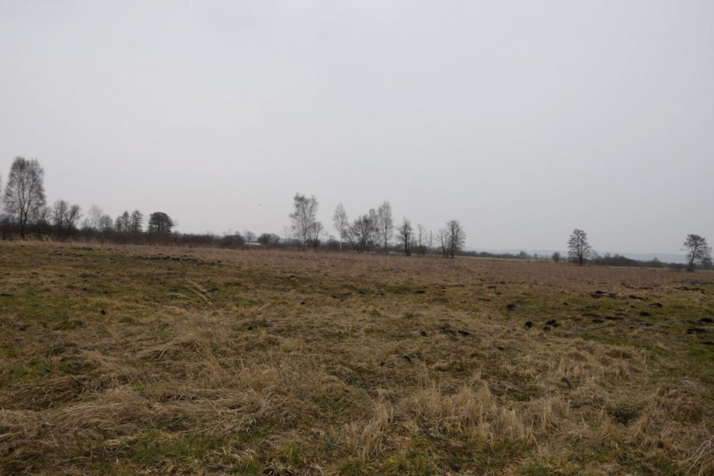 Ziemia rolna w Redkowicach gm.  Nowa Wieś Lęborska - zdjęcie 12