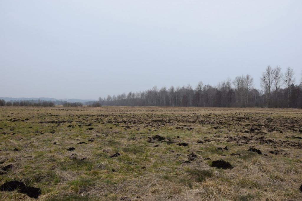 Ziemia rolna w Redkowicach gm.  Nowa Wieś Lęborska - zdjęcie 2