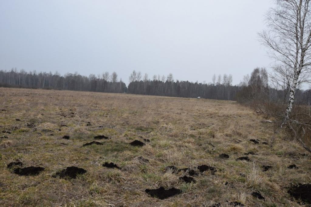 Ziemia rolna w Redkowicach gm.  Nowa Wieś Lęborska - zdjęcie 5