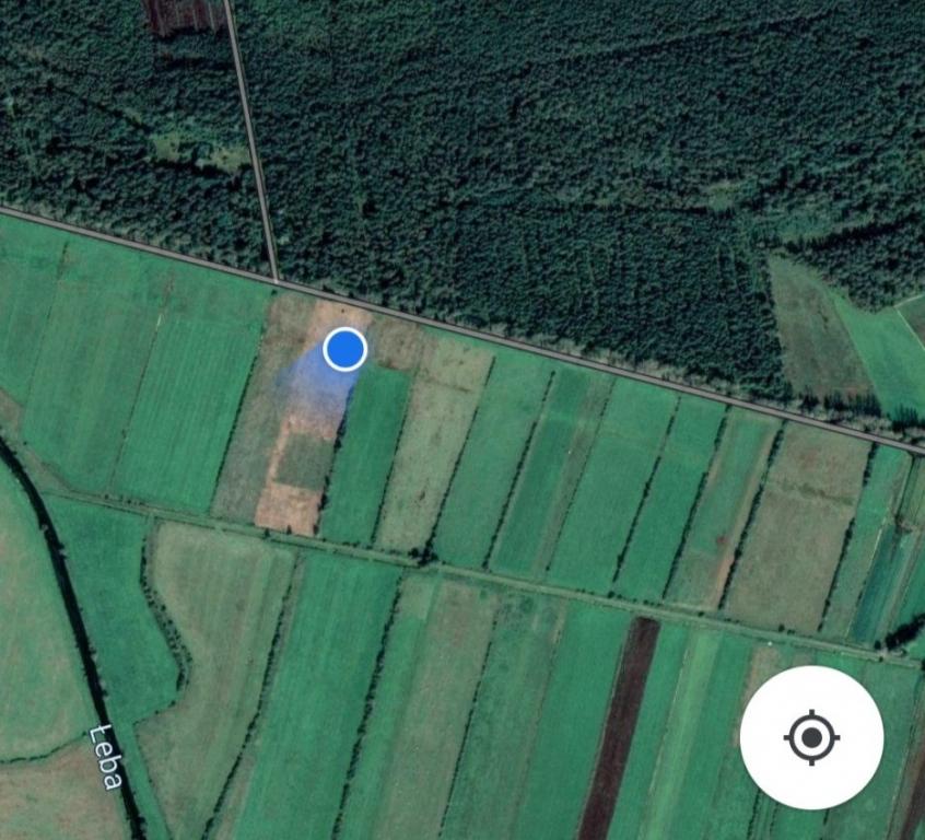 Ziemia rolna w Redkowicach gm.  Nowa Wieś Lęborska - zdjęcie 4