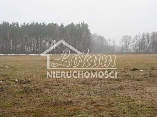 Działka budowlana 2975&nbsp;m², Stepnica - zdjęcie 13