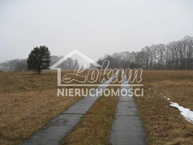 Działka budowlana 2975&nbsp;m², Stepnica - zdjęcie 3