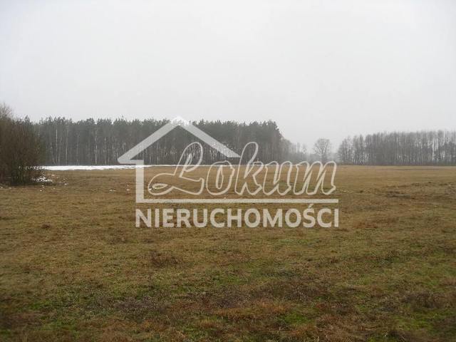Działka budowlana 2975&nbsp;m², Stepnica - zdjęcie 10