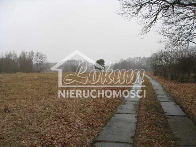 Działka budowlana 2975&nbsp;m², Stepnica - zdjęcie 8