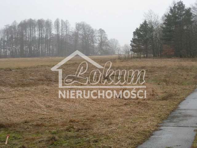 Działka budowlana 2975&nbsp;m², Stepnica - zdjęcie 15