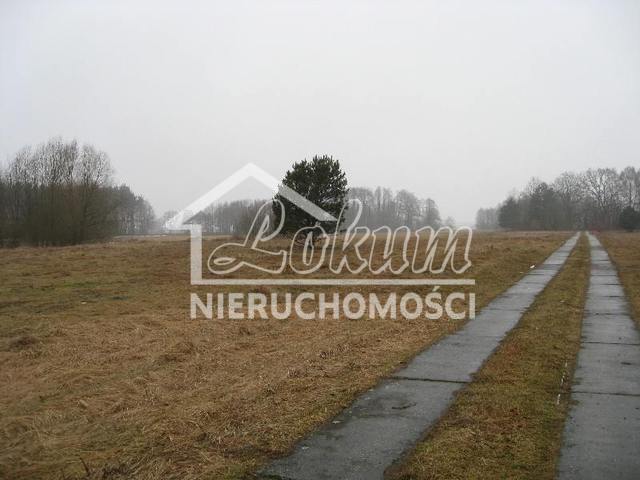Działka budowlana 2975&nbsp;m², Stepnica - zdjęcie 9