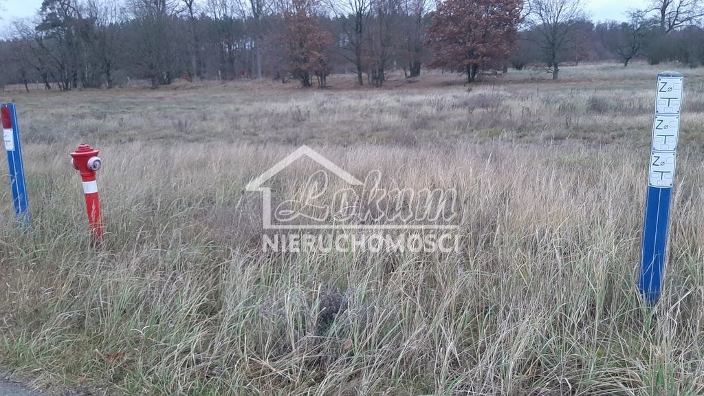 Działka budowlana 1841&nbsp;m², Stepnica - zdjęcie 3