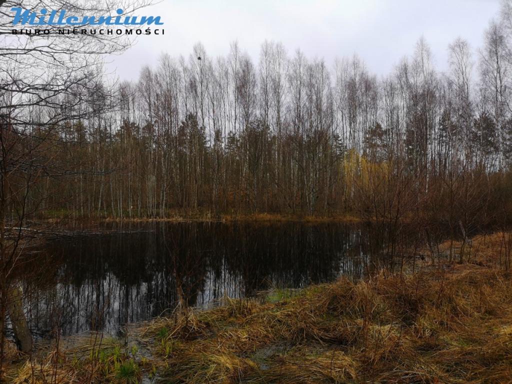 Działka rekreacyjna blisko Jeziora Potęgowskiego - zdjęcie 4