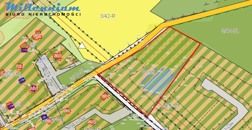 Działka rekreacyjna blisko Jeziora Potęgowskiego - zdjęcie 3