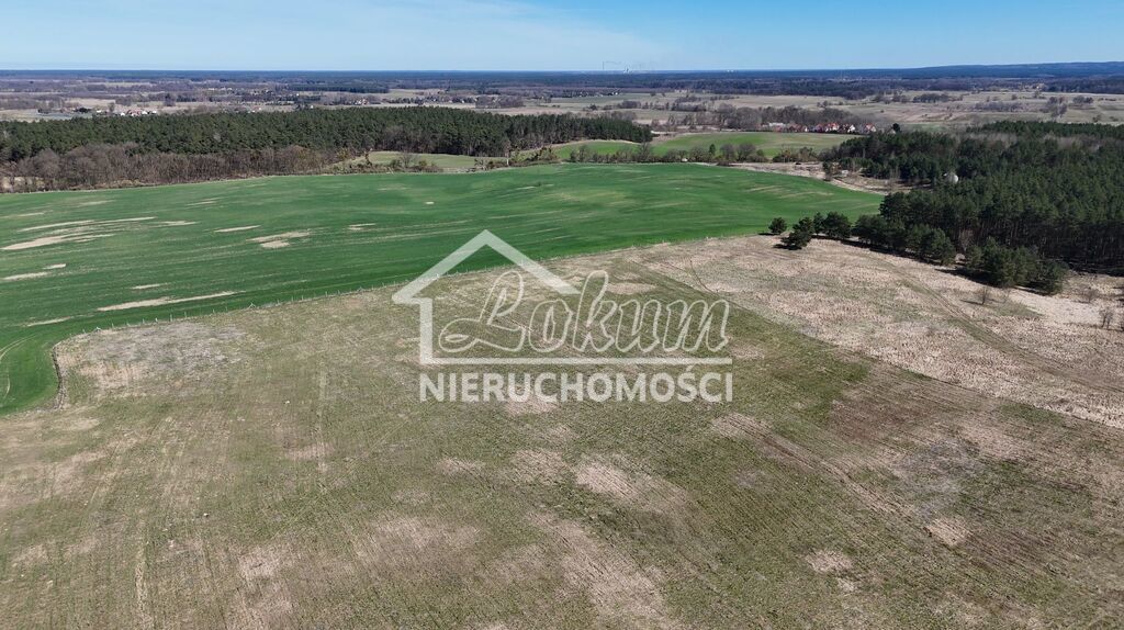 Działka rolna 1,36 ha, Buk - zdjęcie 13