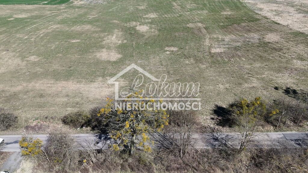 Działka rolna 1,36&nbsp;ha, Buk - zdjęcie 14