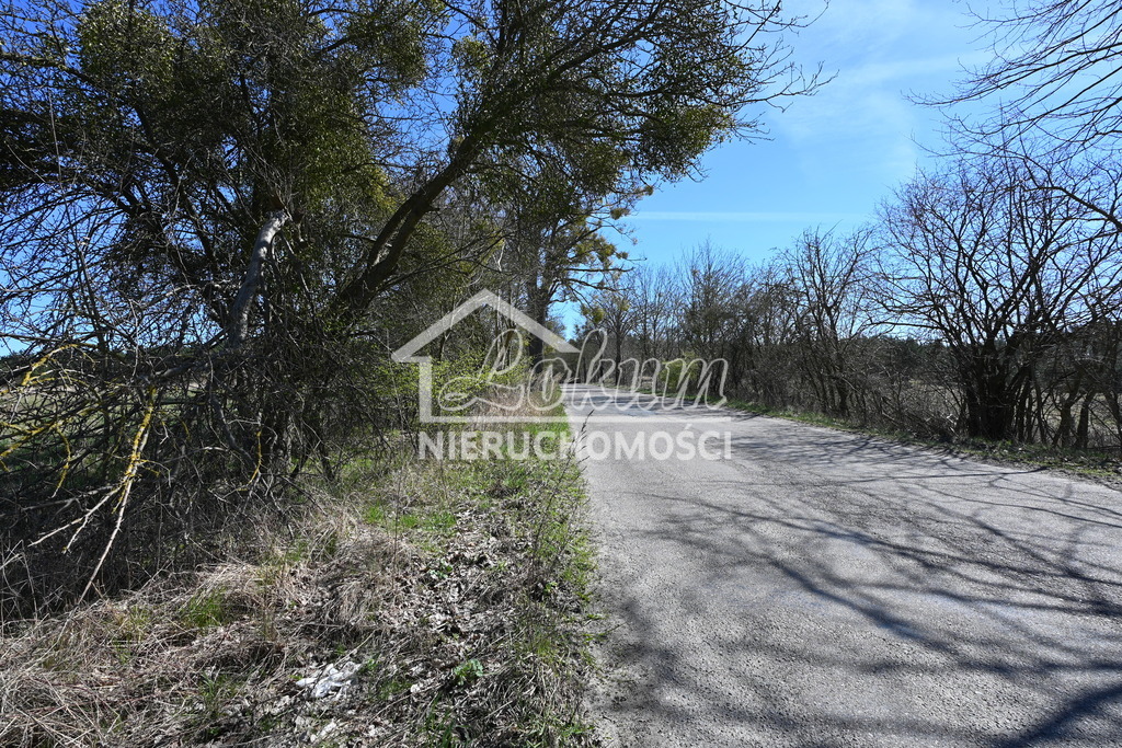 Działka rolna 1,36&nbsp;ha, Buk - zdjęcie 9