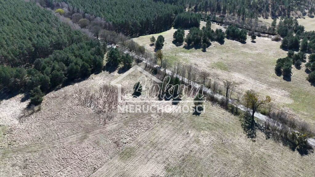 Działka rolna 1,36&nbsp;ha, Buk - zdjęcie 12