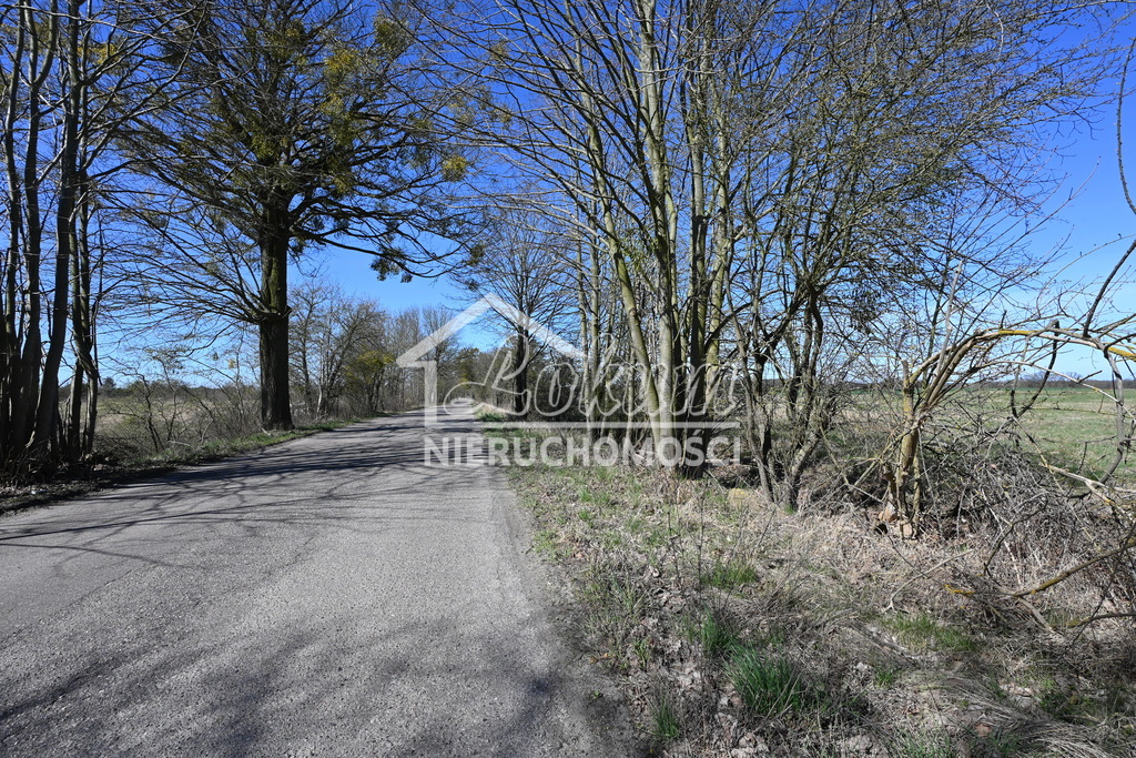 Działka rolna 1,36&nbsp;ha, Buk - zdjęcie 10