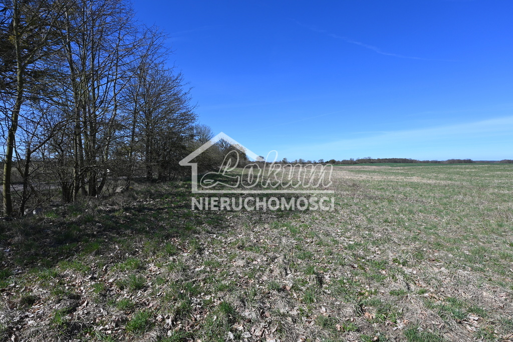 Działka rolna 1,36&nbsp;ha, Buk - zdjęcie 4