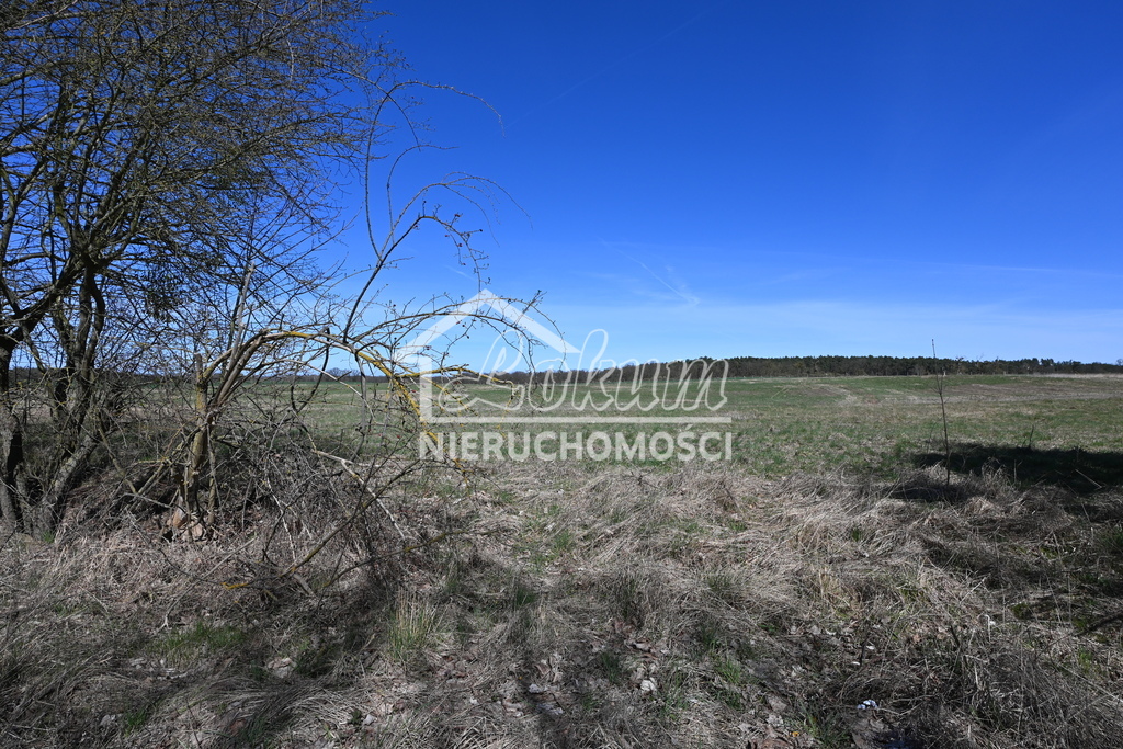 Działka rolna 1,36 ha, Buk - zdjęcie 1