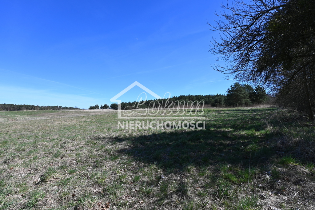 Działka rolna 1,36&nbsp;ha, Buk - zdjęcie 8