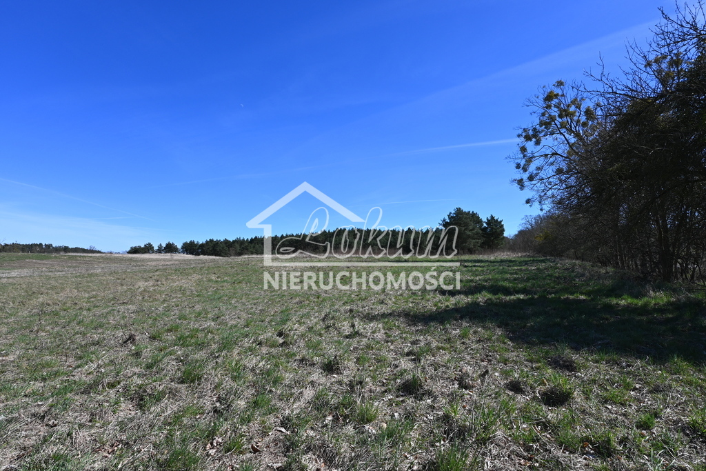 Działka rolna 1,36&nbsp;ha, Buk - zdjęcie 6