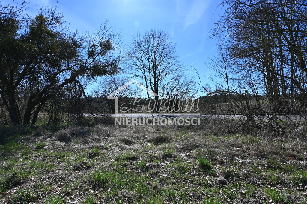 Działka rolna 1,36&nbsp;ha, Buk - zdjęcie 7