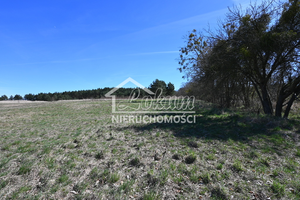 Działka rolna 1,36 ha, Buk - zdjęcie 3