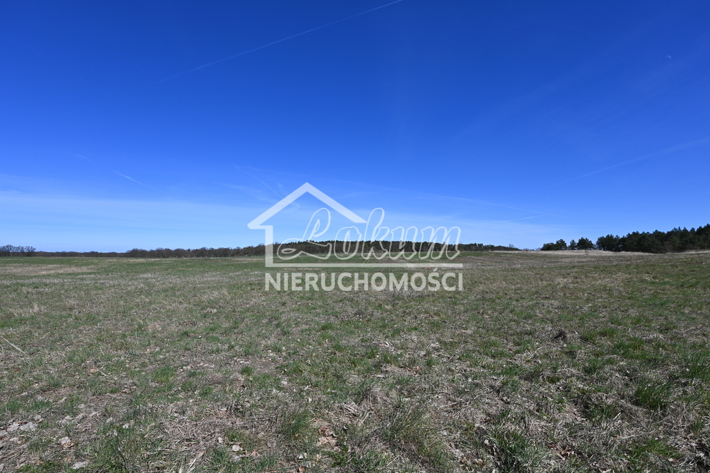 Działka rolna 1,36 ha, Buk - zdjęcie 5