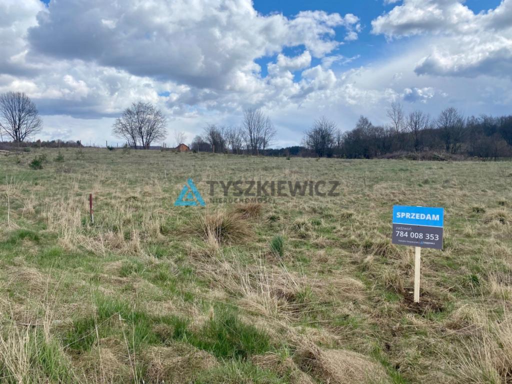 Działka budowlana w Nowej Wsi/gm. Stężyca - zdjęcie 13