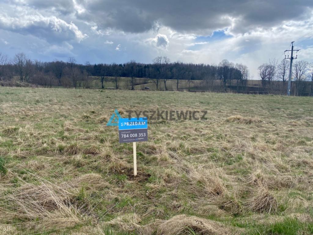 Działka budowlana w Nowej Wsi/gm. Stężyca - zdjęcie 11