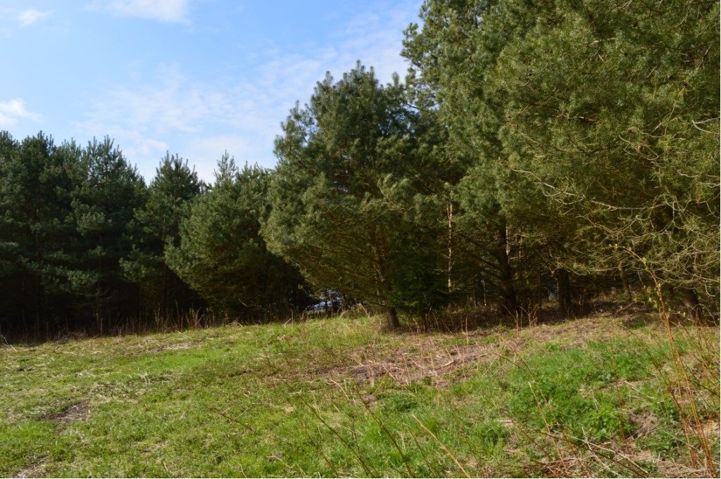 Działka budowlana 1575&nbsp;m², Grądzkie - zdjęcie 16