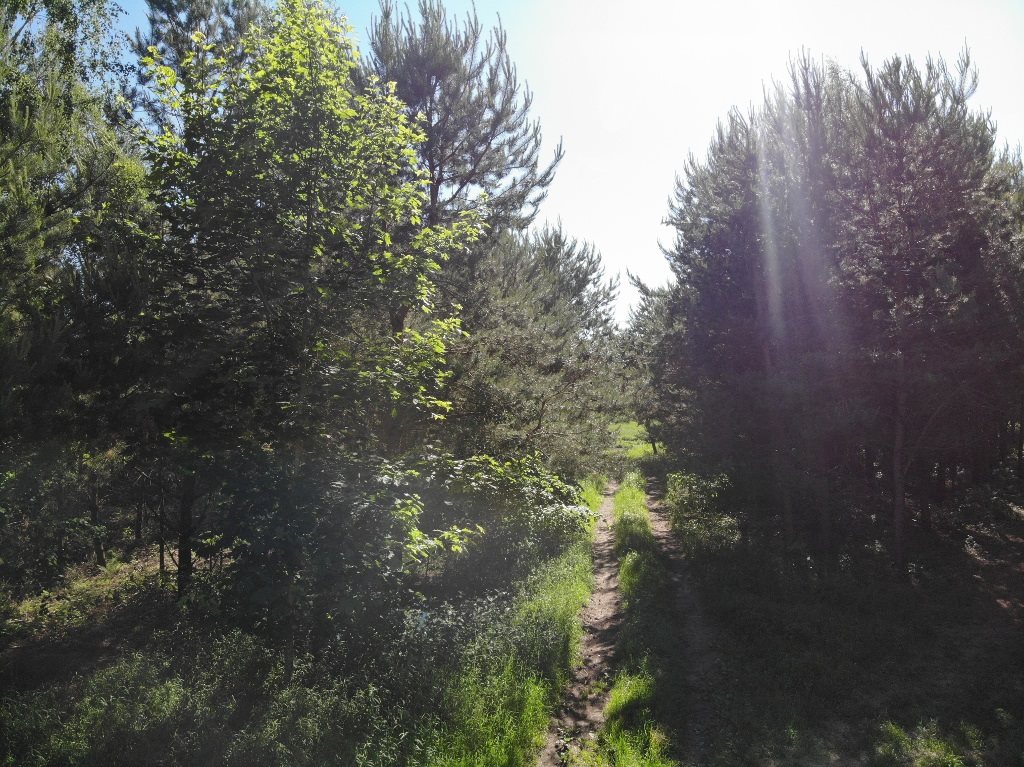 Działka budowlana 1575&nbsp;m², Grądzkie - zdjęcie 7