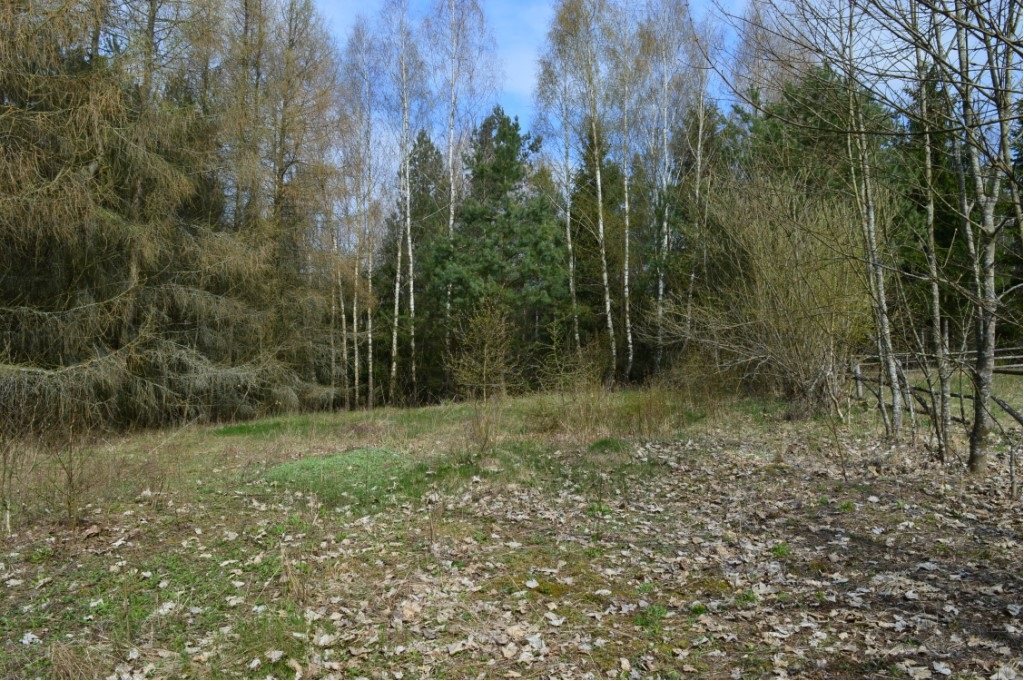 Działka budowlana 1575&nbsp;m², Grądzkie - zdjęcie 14