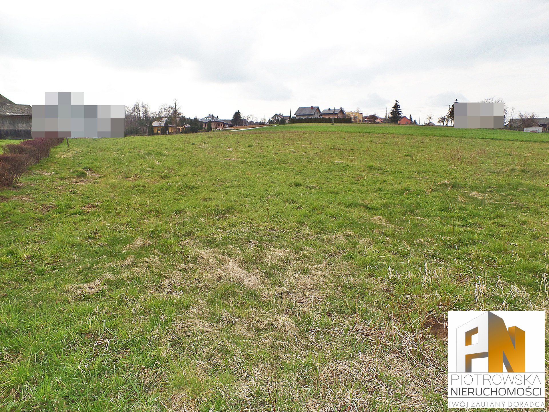 Działka budowlana 1421 ha Wola Lubecka - zdjęcie 2