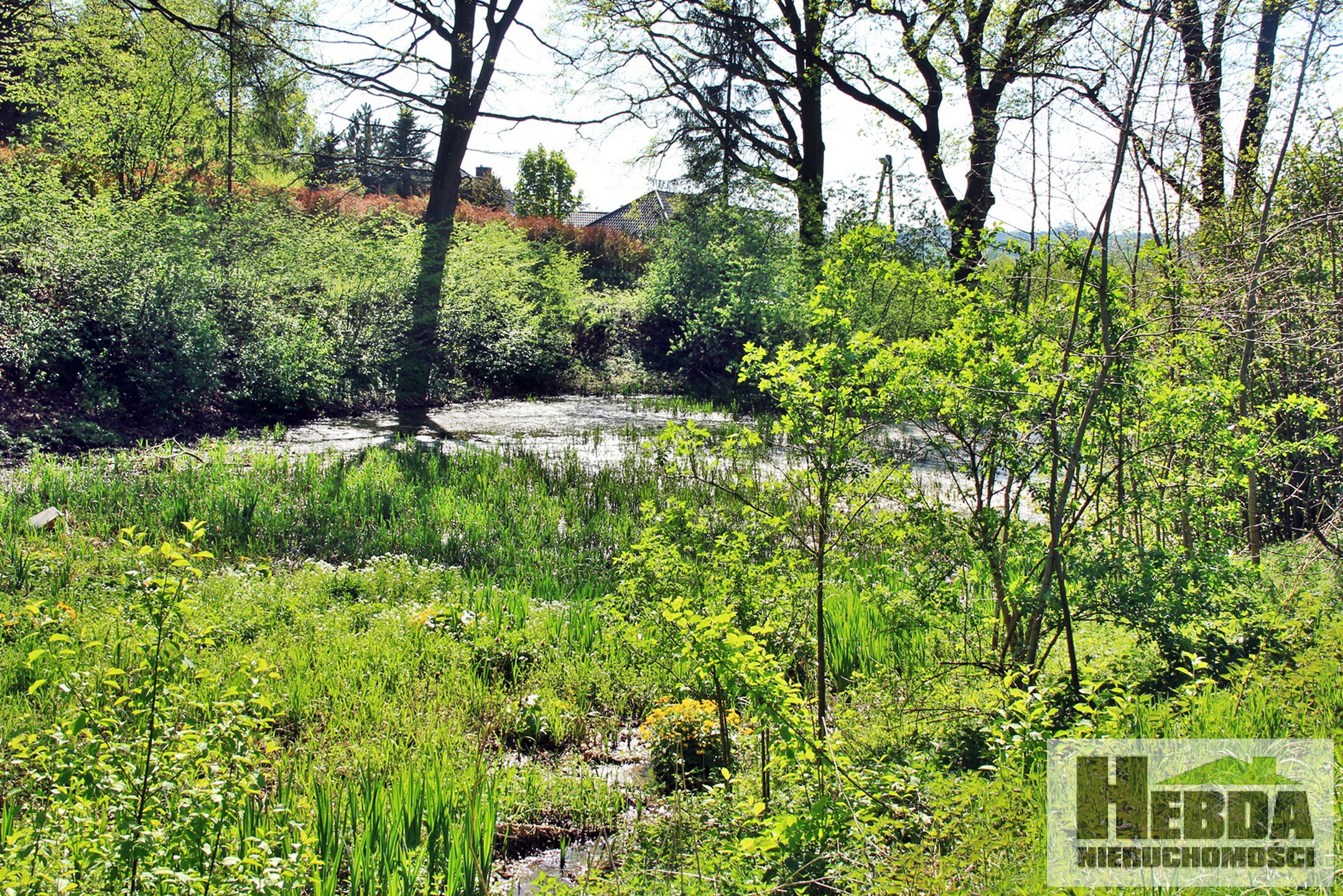Działka inwestycyjna pod usługi turystyczne lub usługi opieki społecznej, DPS ... 4,27ha - zdjęcie 7