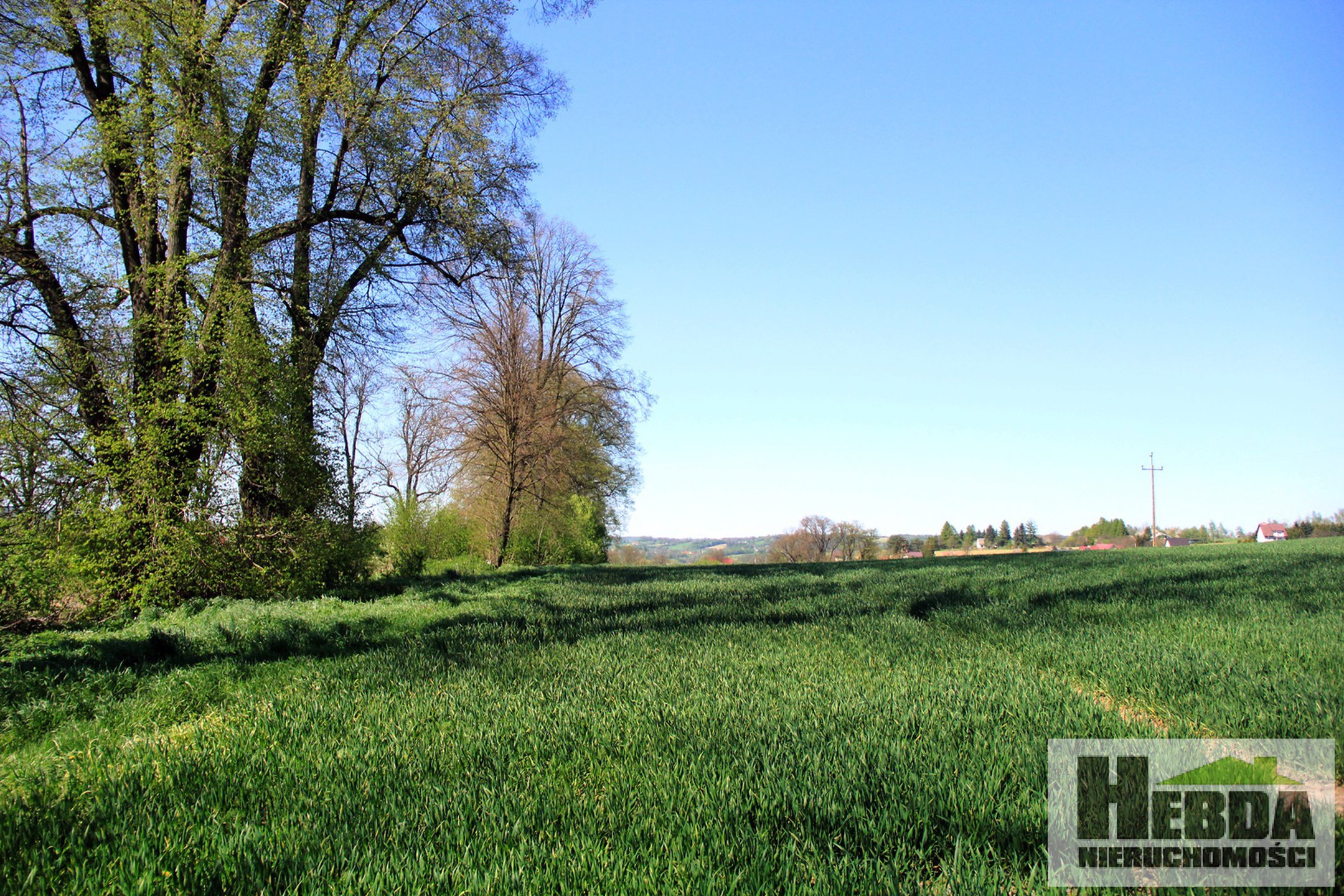 Działka inwestycyjna pod usługi turystyczne lub usługi opieki społecznej, DPS ... 4,27ha - zdjęcie 3