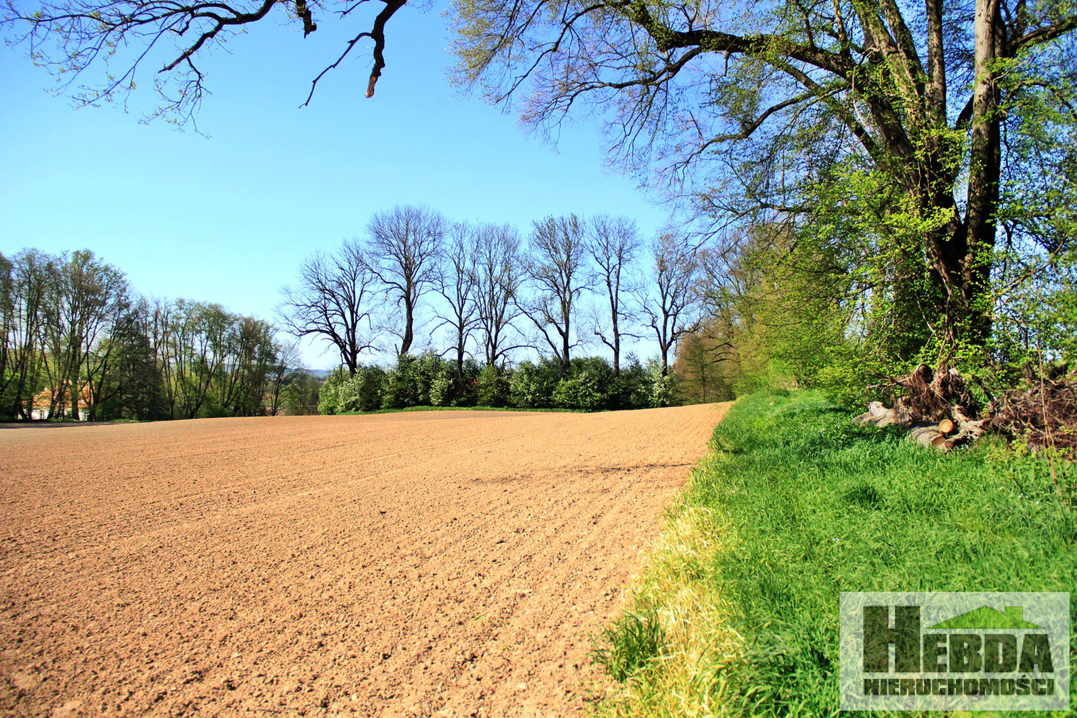 Działka inwestycyjna pod usługi turystyczne lub usługi opieki społecznej, DPS ... 4,27ha - zdjęcie 6