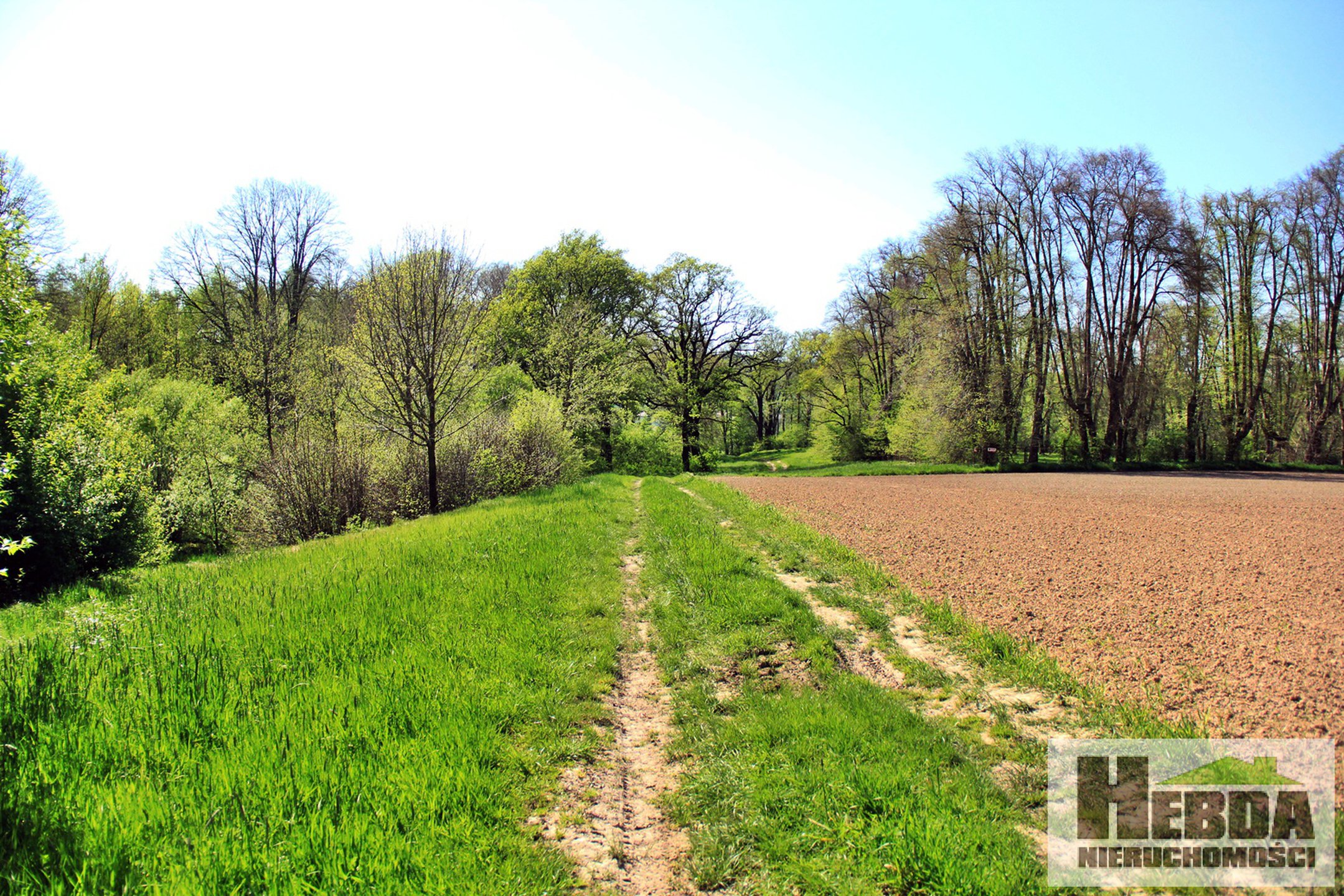 Działka inwestycyjna pod usługi turystyczne lub usługi opieki społecznej, DPS ... 4,27ha - zdjęcie 10