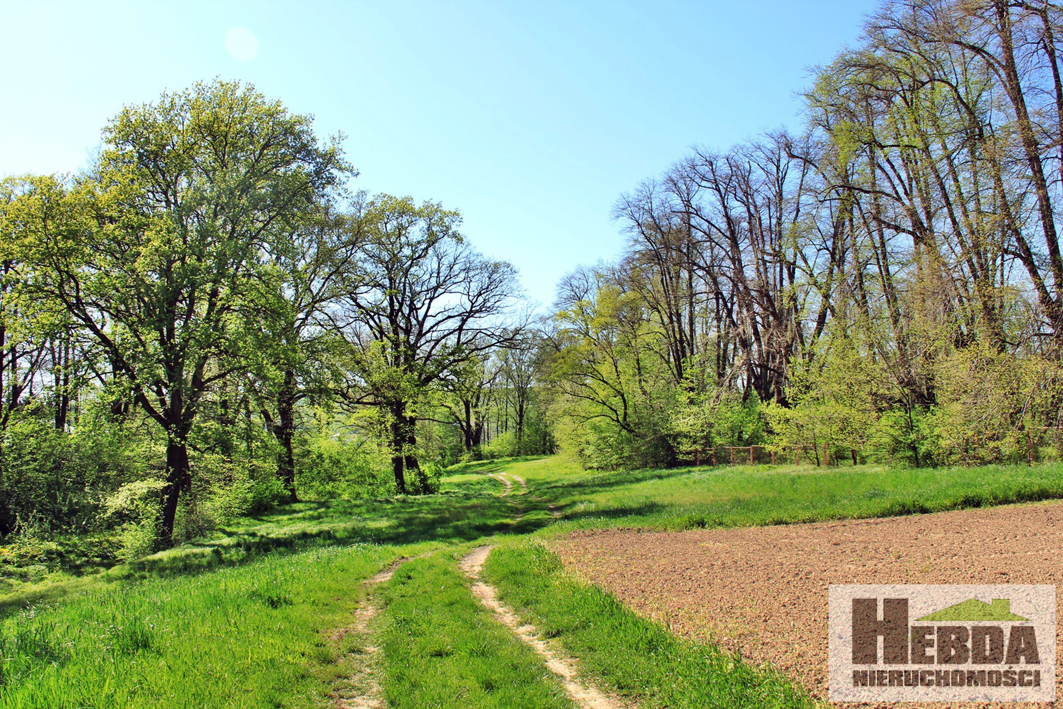 Działka inwestycyjna pod usługi turystyczne lub usługi opieki społecznej, DPS ... 4,27ha - zdjęcie 2