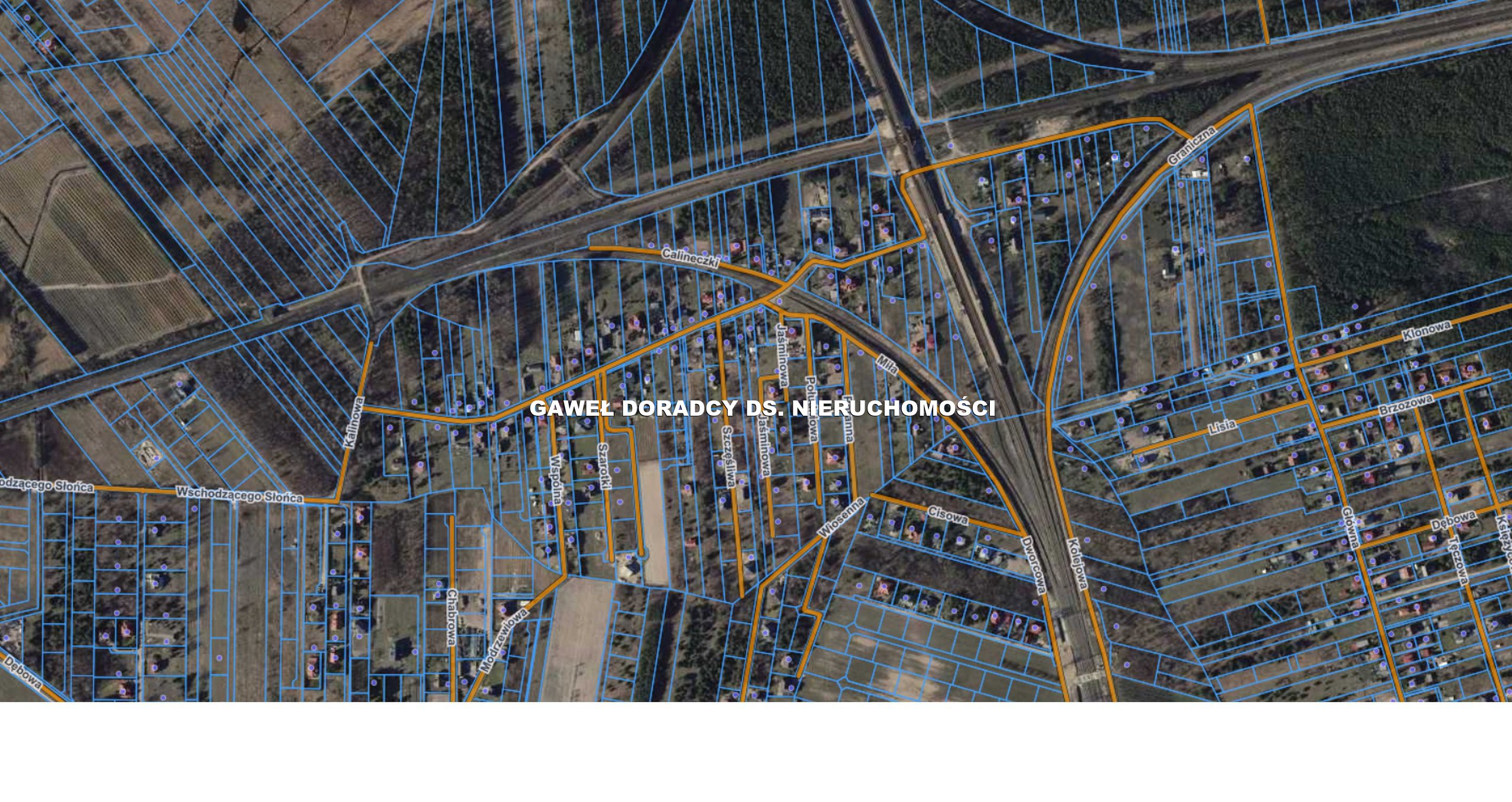 Działka leśna w trakcie przekszatłcenia. - zdjęcie 1