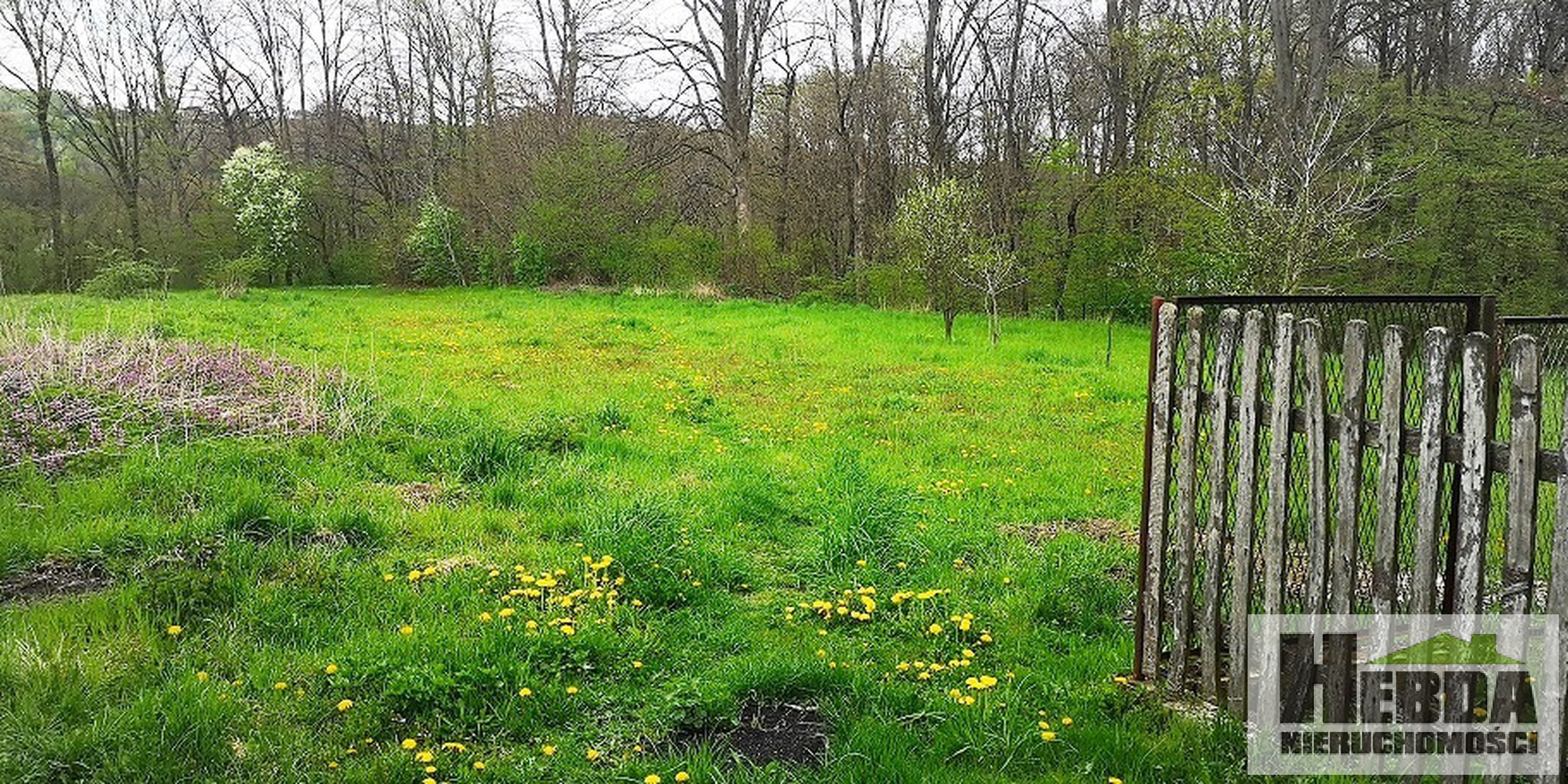 Rożnów, działka budowlana 48 arów, blisko Zapory nad Jeziorem Rożnowskim - zdjęcie 1