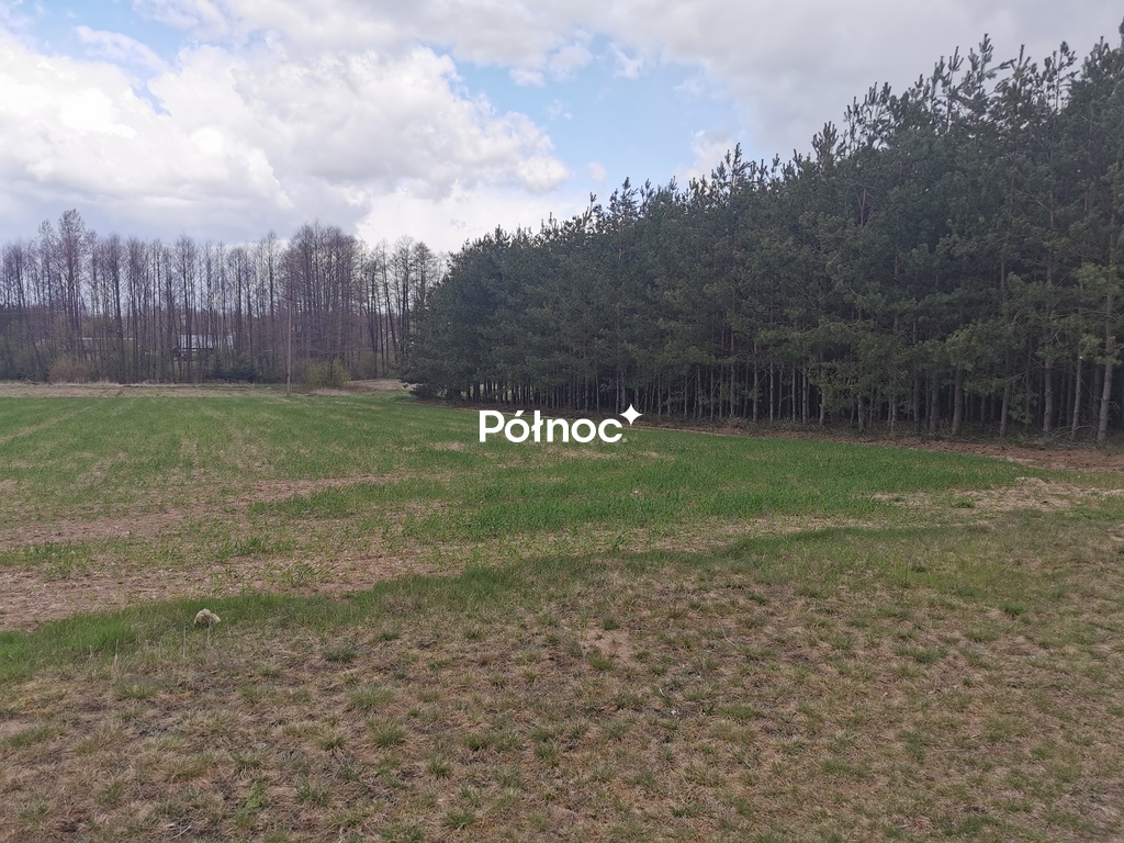 Działka rolna 6700 m², Grabowiec - zdjęcie 10